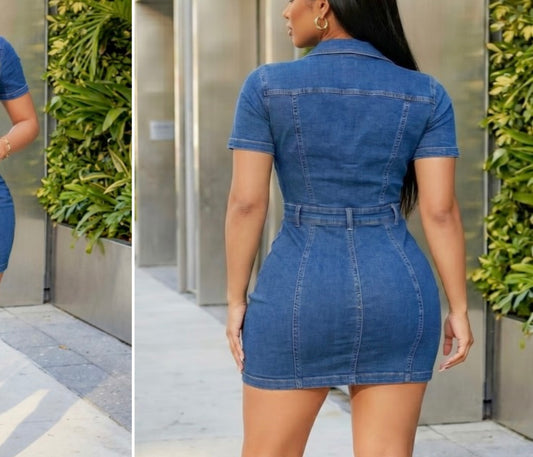 Eva Denim Dress